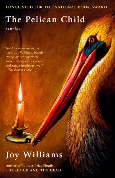 The Pelican Child cover (ISBN 9781984898814)