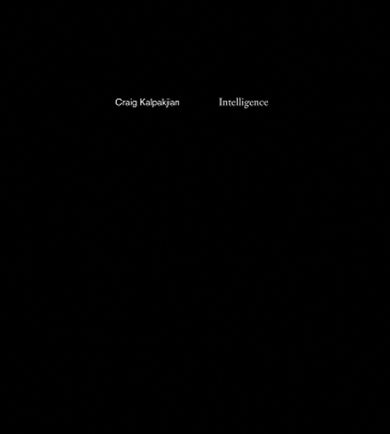 Intelligence-Art: general-買書書 BuyBookBook