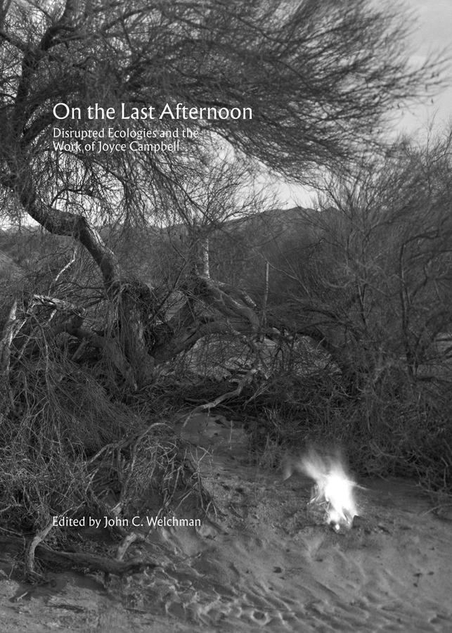 On the Last Afternoon-Art: general-買書書 BuyBookBook