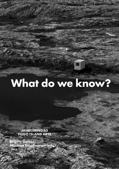 What Do We Know? What Do We Have? What Do We Miss? What Do We Love?-Art: general-買書書 BuyBookBook