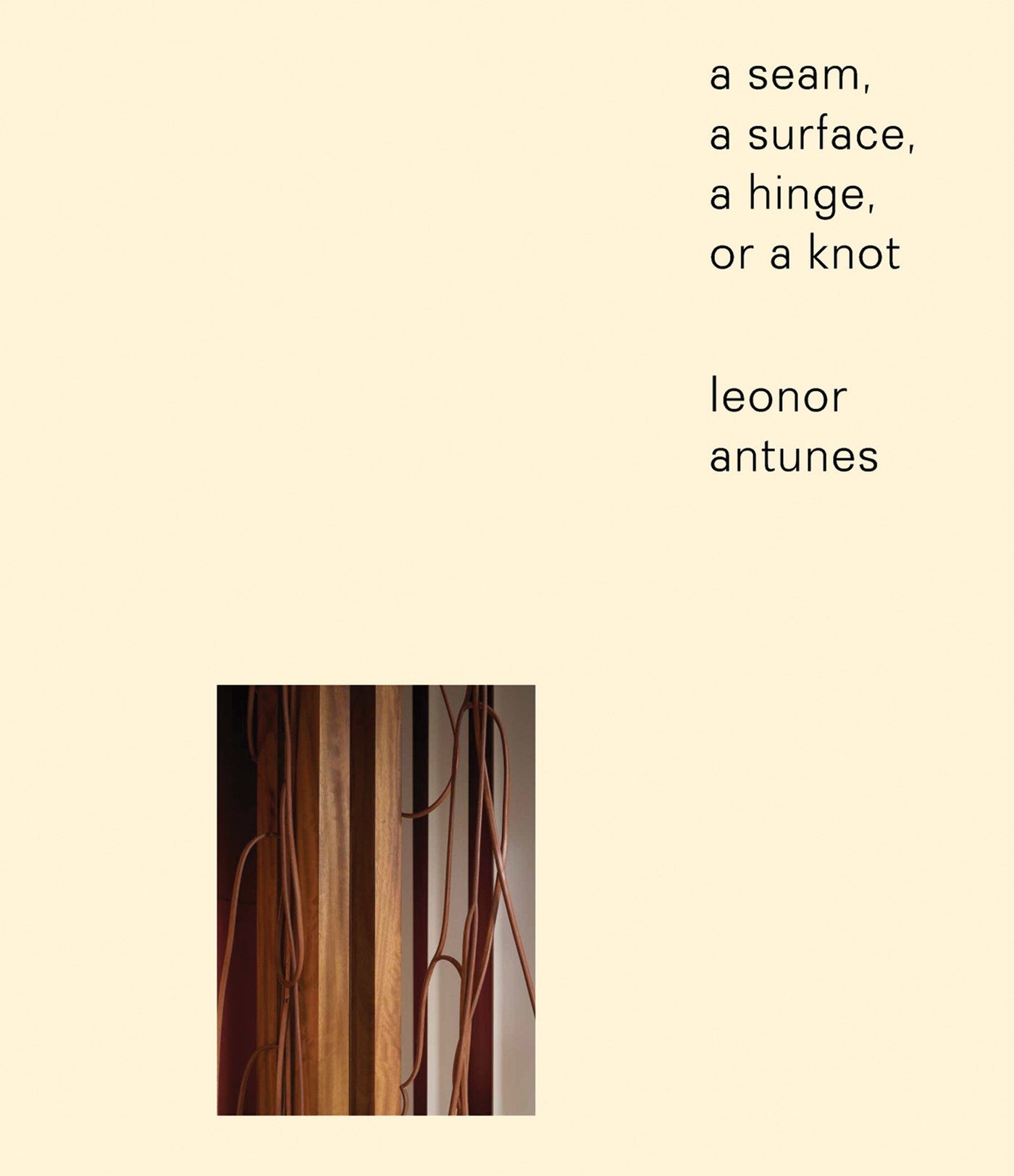 Leonor Antunes-Art: general-買書書 BuyBookBook