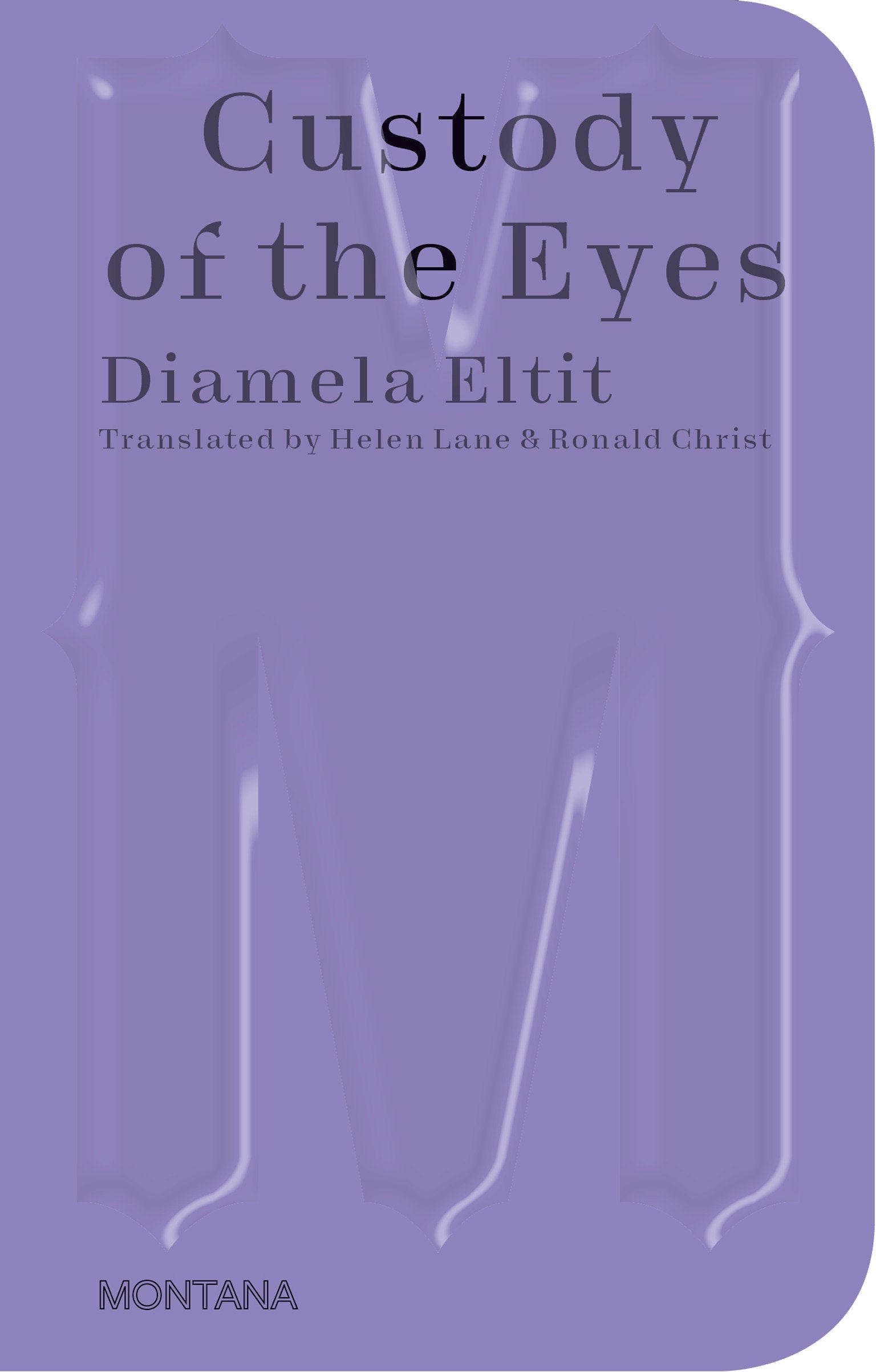 Custody of the Eyes-Fiction: general and literary-買書書 BuyBookBook