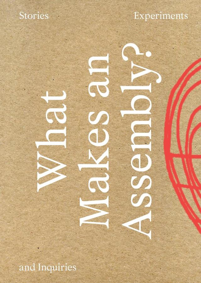 What Makes an Assembly?-Politics and government-買書書 BuyBookBook