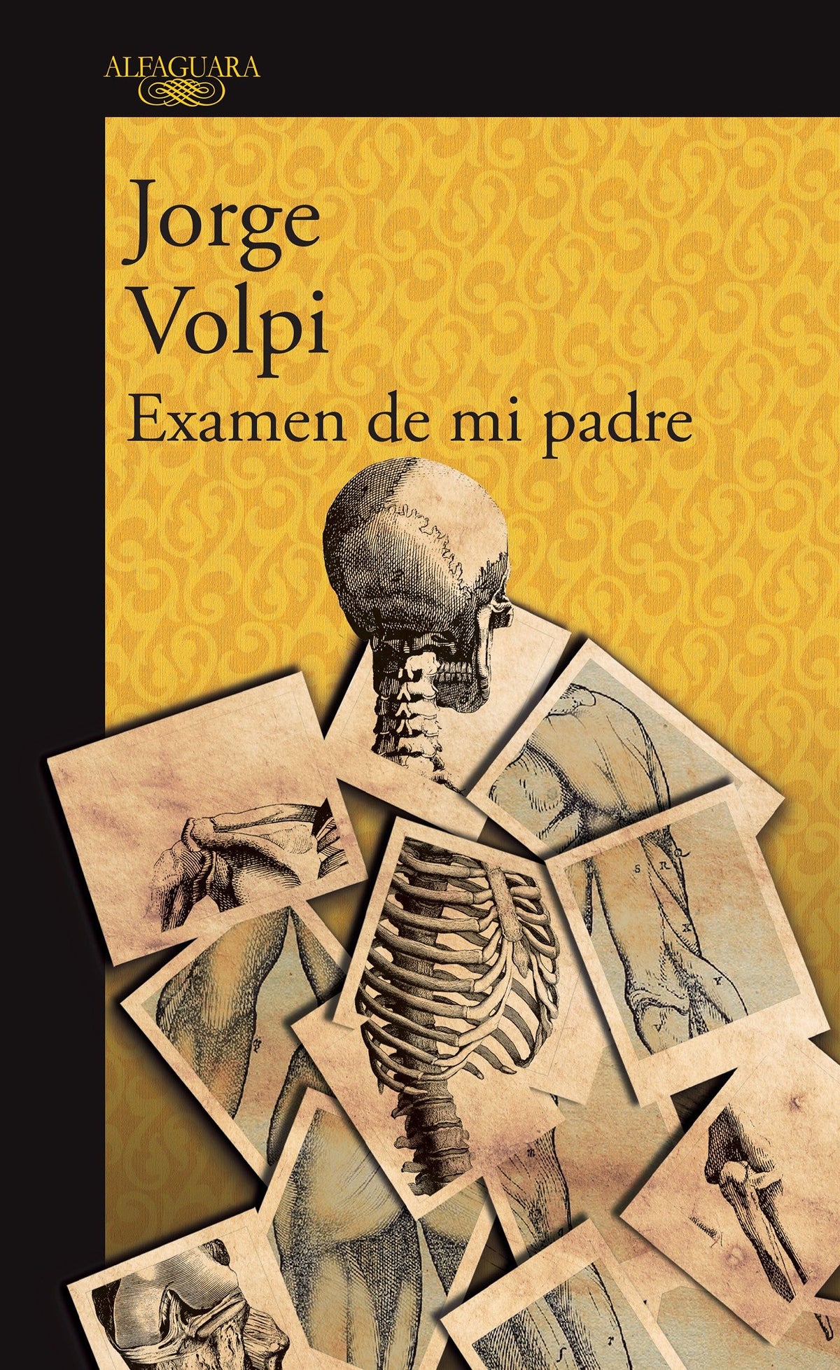 Examen de mi padre / My Father's Examination cover (ISBN 9786073146067)