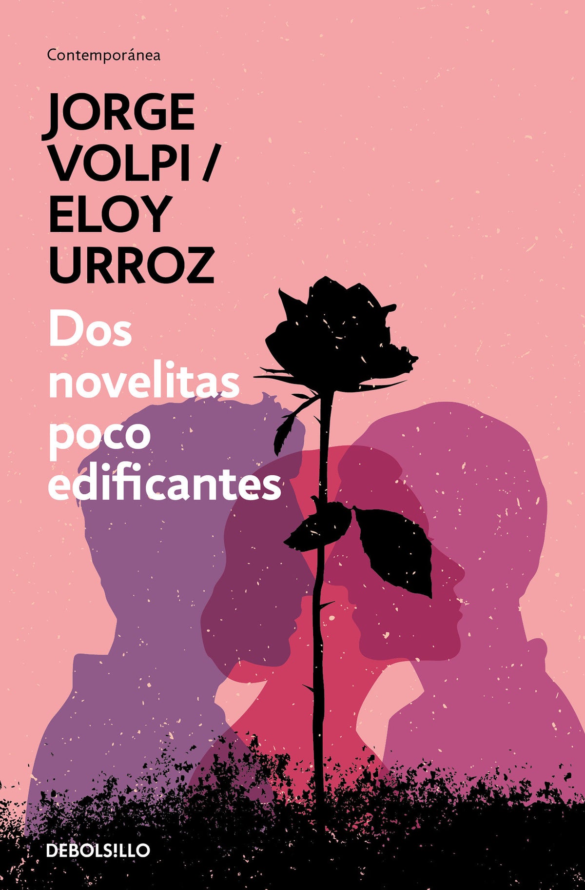 Dos novelitas poco edificantes / Two Slightly Instructive Novels cover (ISBN 9786073164276)