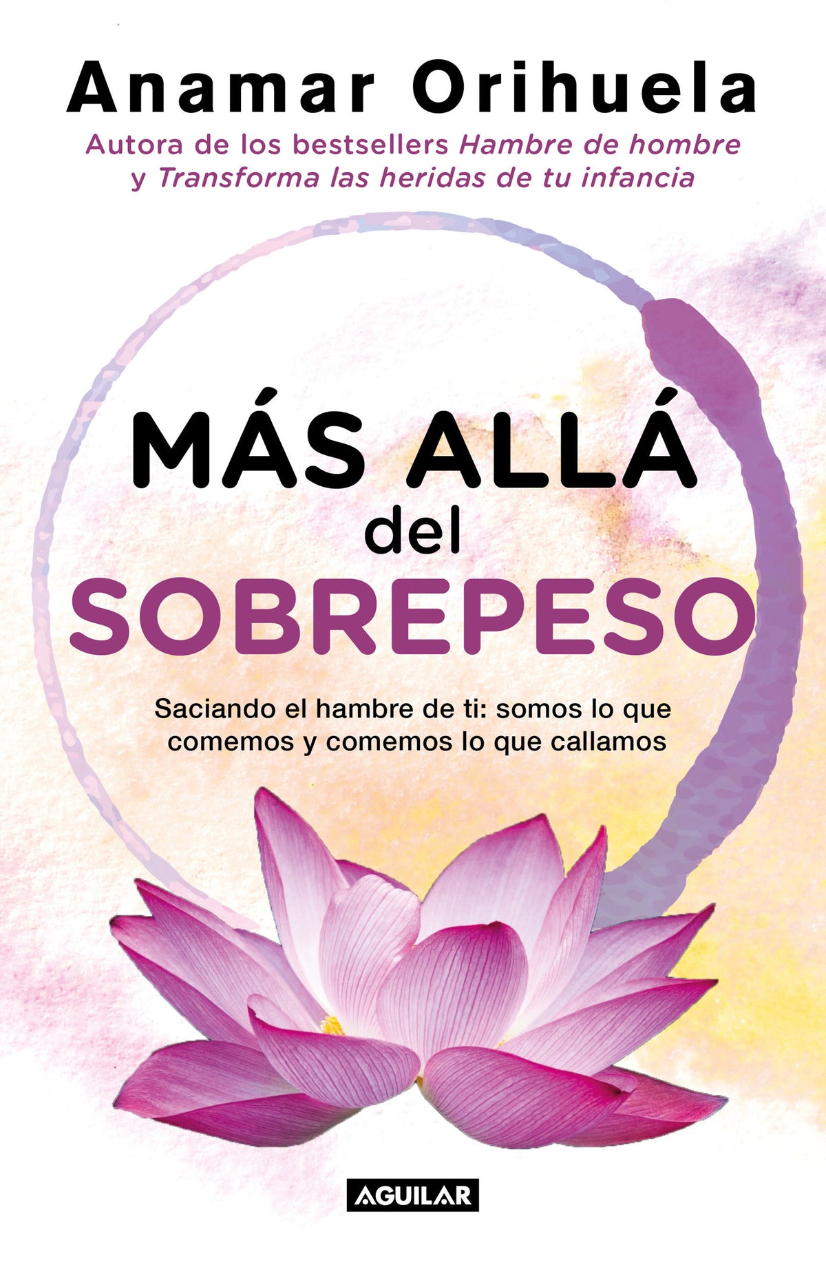 Más allá del sobrepeso / Beyond the Excess Weight cover (ISBN 9786073197069)