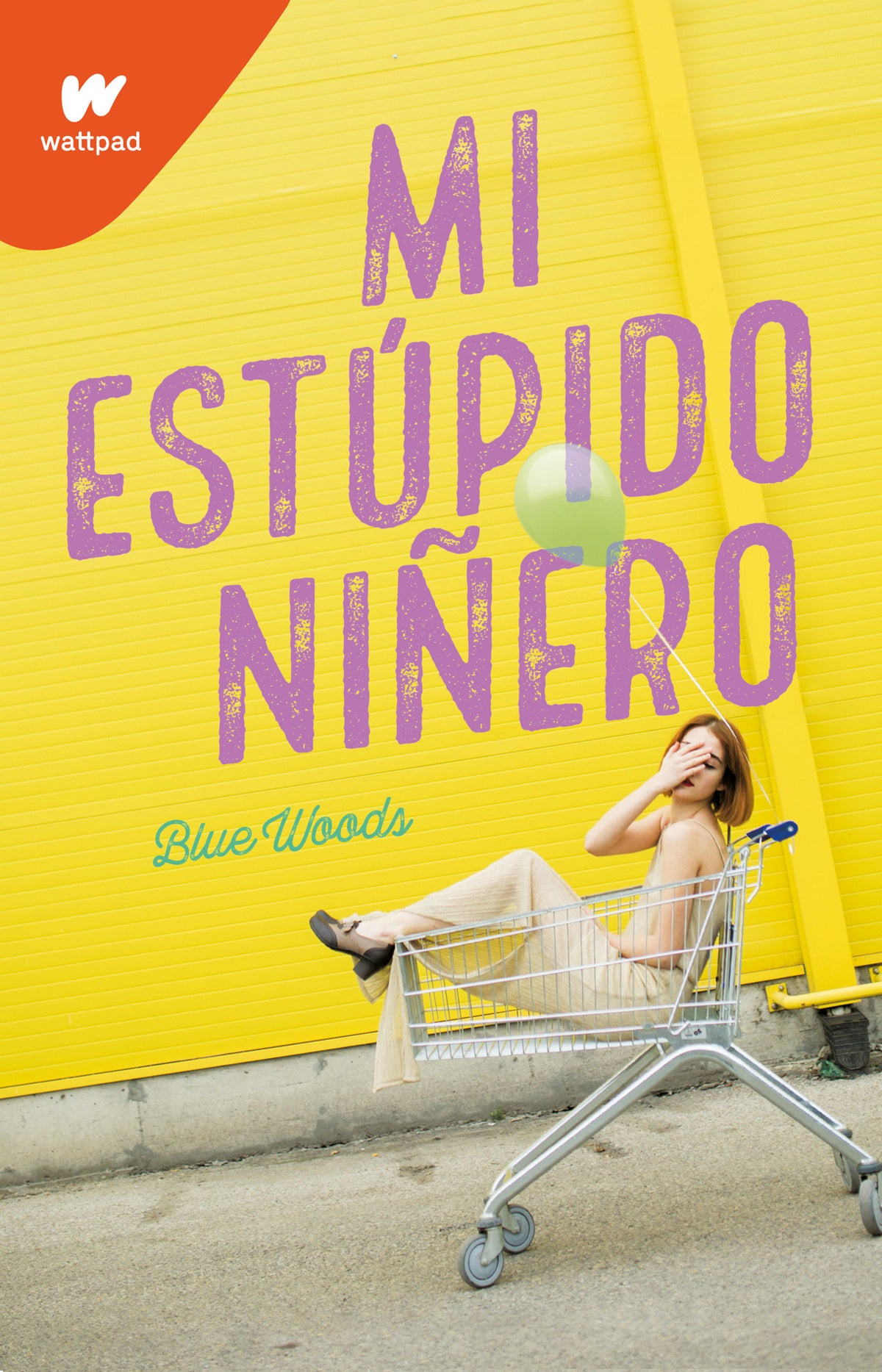 Mi estúpido niñero / The Stupid End of Me cover (ISBN 9786073801652)