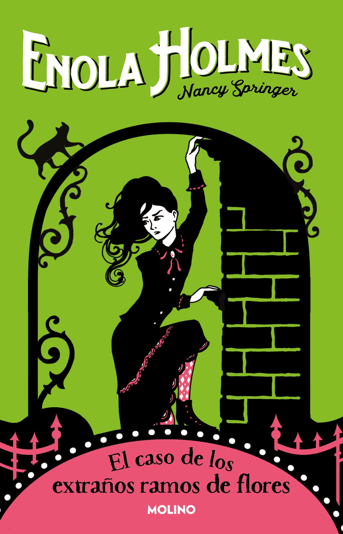 El caso de los extraños ramos de flores / The Case of the Bizarre Bouquets cover (ISBN 9786073811811)