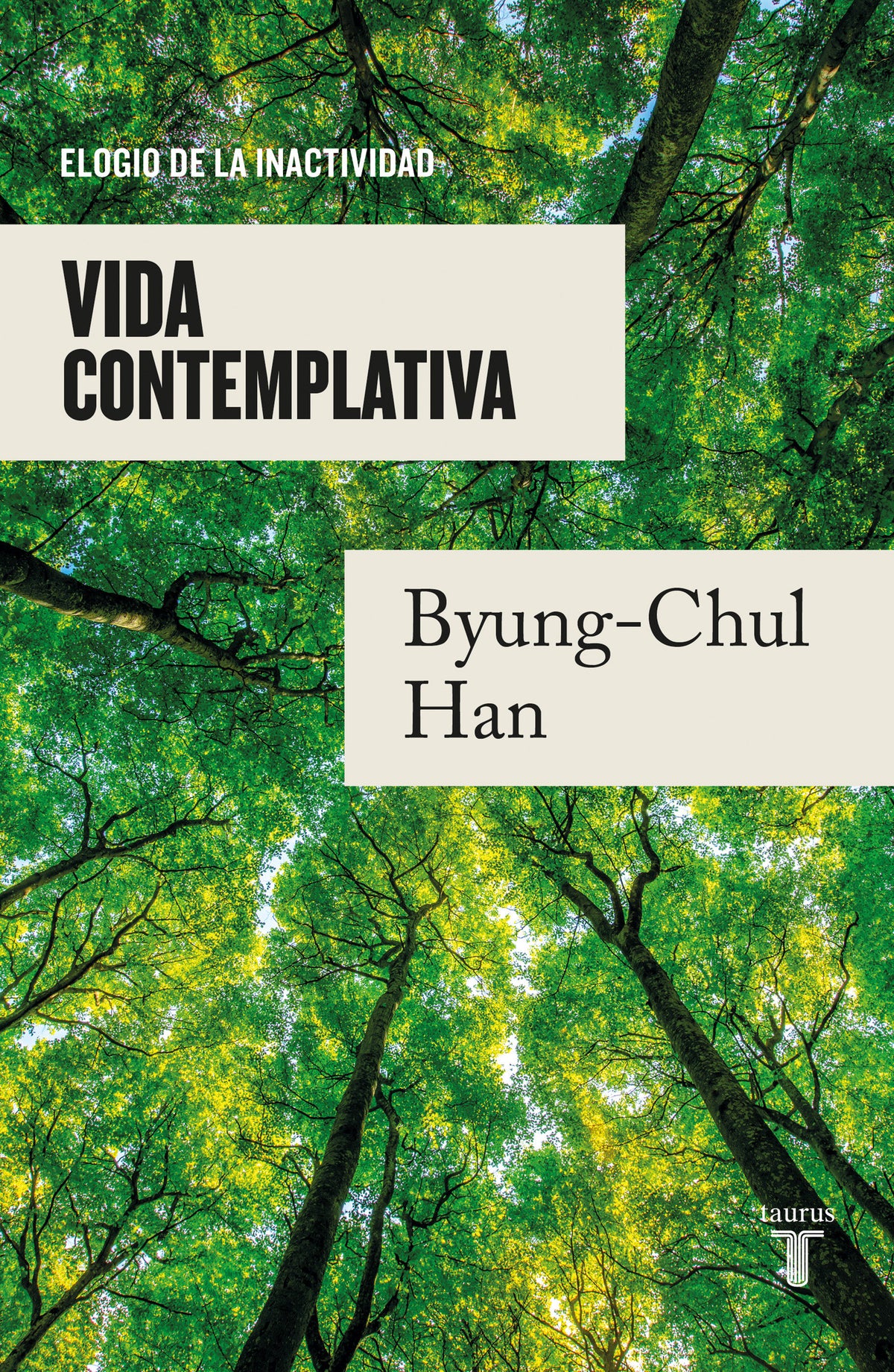 Vida contemplativa: Elogio de la inactividad / Contemplative Life: A Praise to I dleness cover (ISBN 9786073825054)