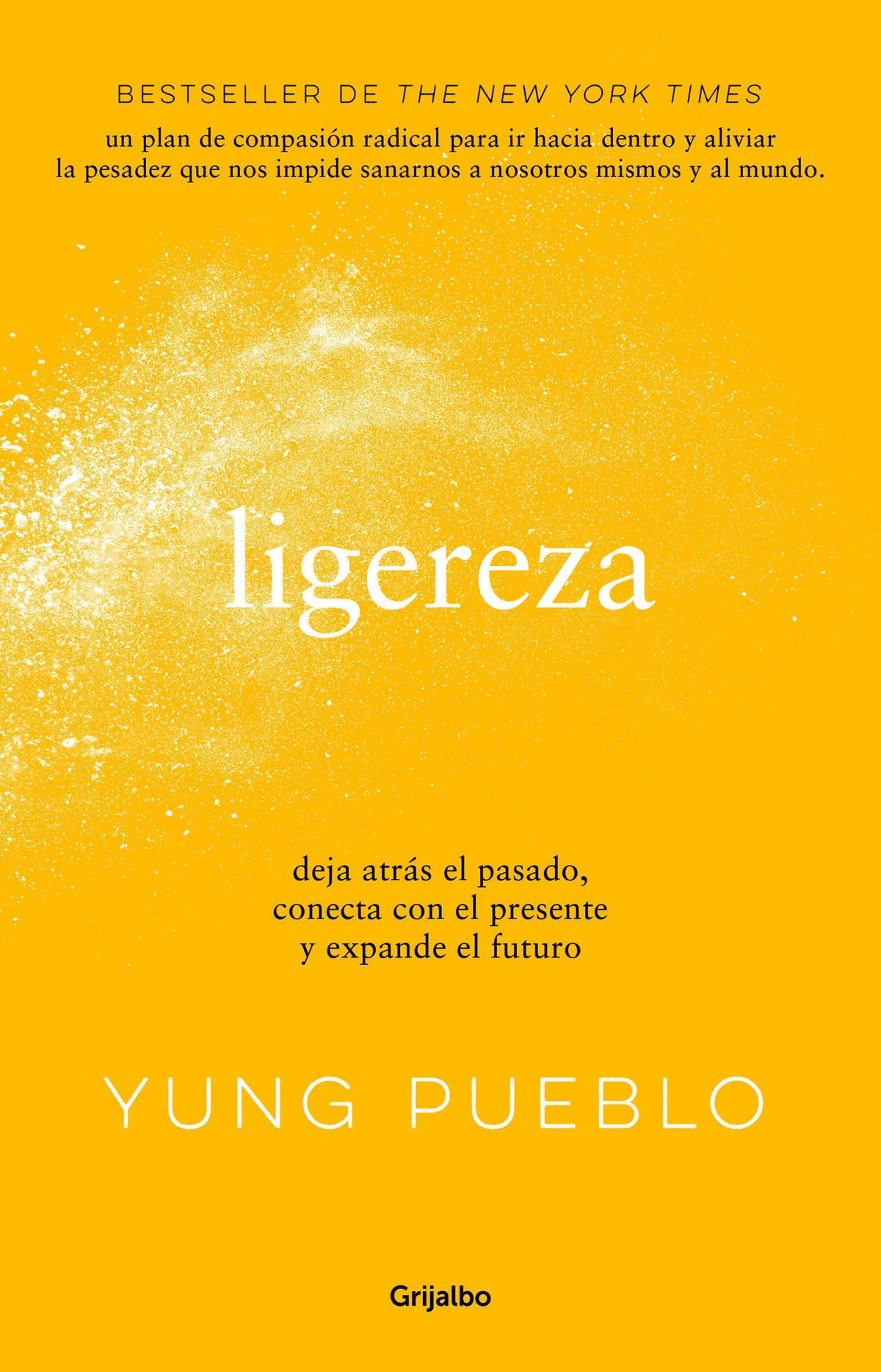 Ligereza: Deja atrás el pasado, conecta con el presente y expande el futuro / Lighter. Let Go of the Past, Connect with the Present, and Expand the Future cover (ISBN 9786073825511)