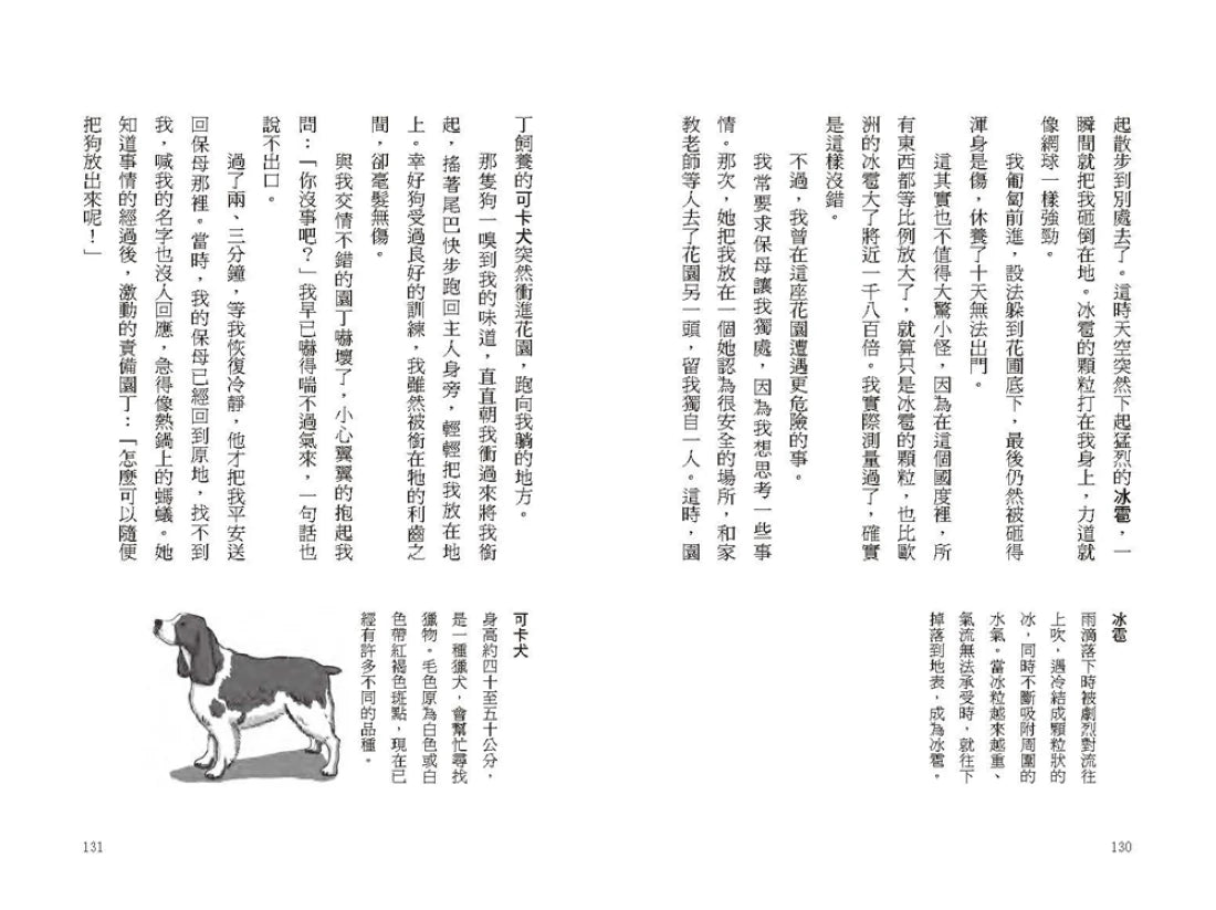 我的第一套世界文學20：格列佛遊記（全新彩頁增量版） 平裝書 Paperback