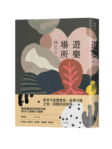 遊樂場所 平裝書 Paperback