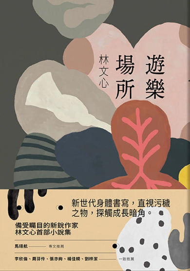 遊樂場所 平裝書 Paperback