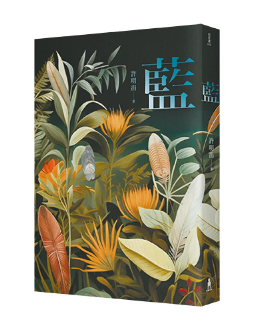 藍：許明涓短篇小說集 平裝書 Paperback