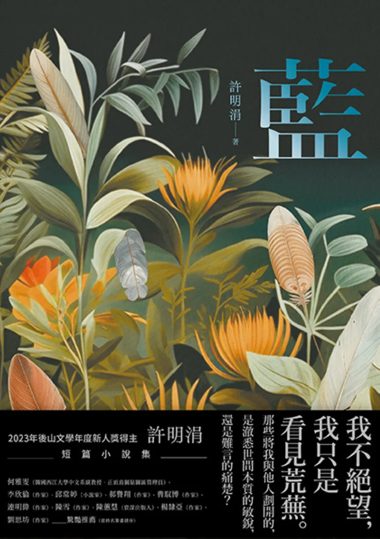 藍：許明涓短篇小說集 平裝書 Paperback