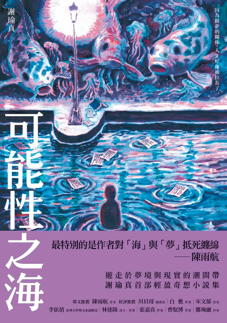 可能性之海 平裝書 Paperback