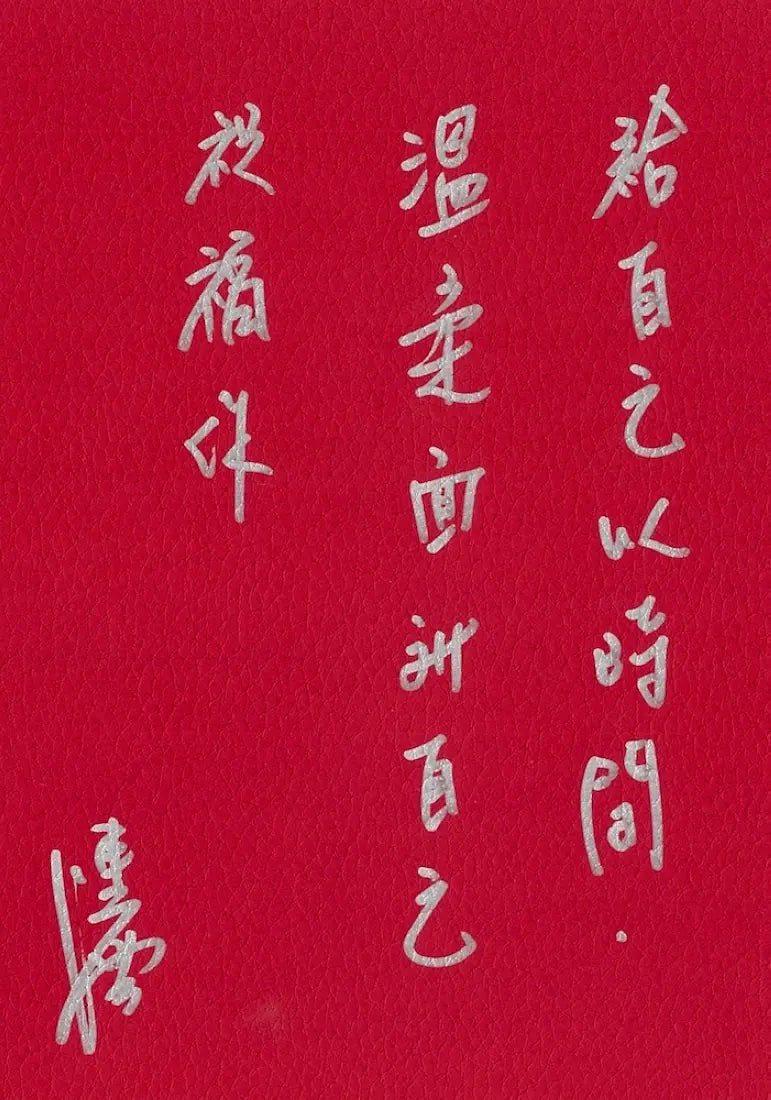 維納斯：陳雪短篇小說集 平裝書 Paperback