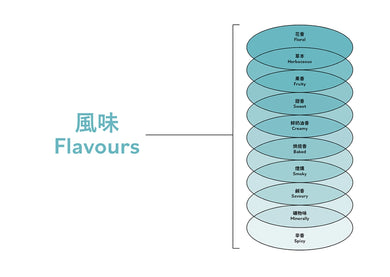 品酒的風味演算：從個人喜好出發，精準推薦你更多喜愛酒飲的科學指南 精裝書 Hardback