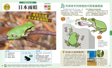 Inside Page 4