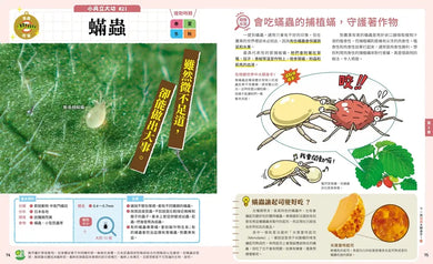 Inside Page 5