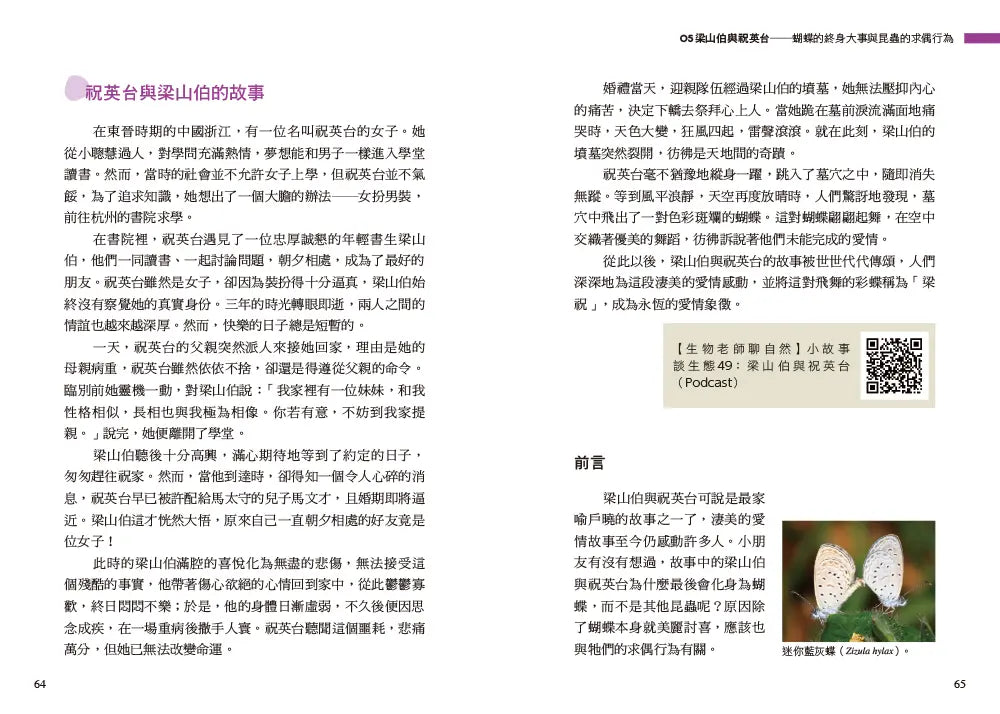 Inside Page 3