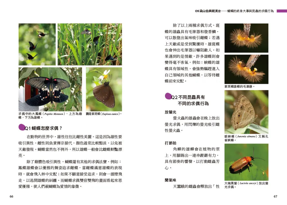 Inside Page 4