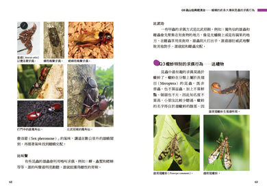 Inside Page 5