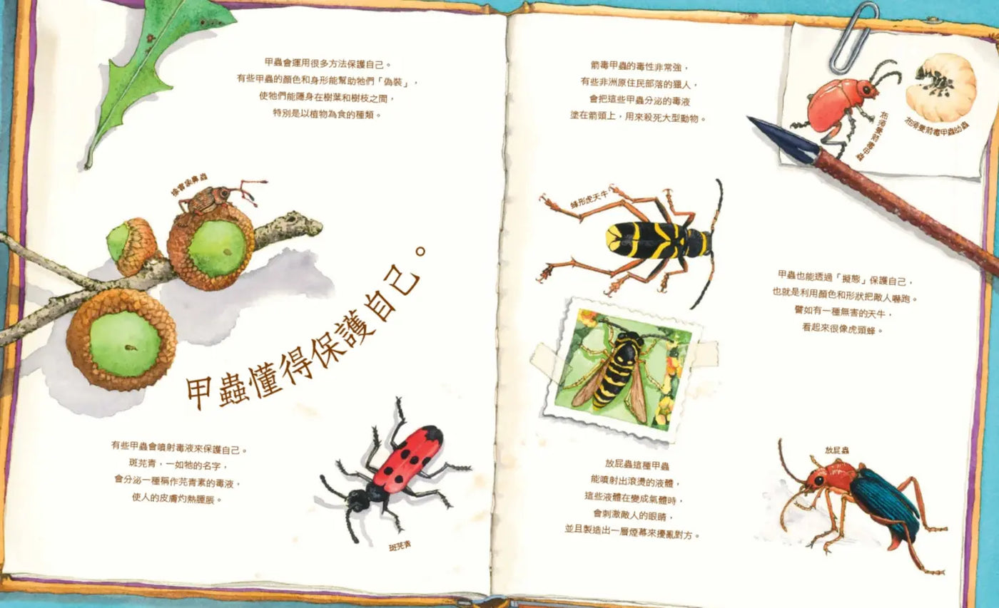 Inside Page 4
