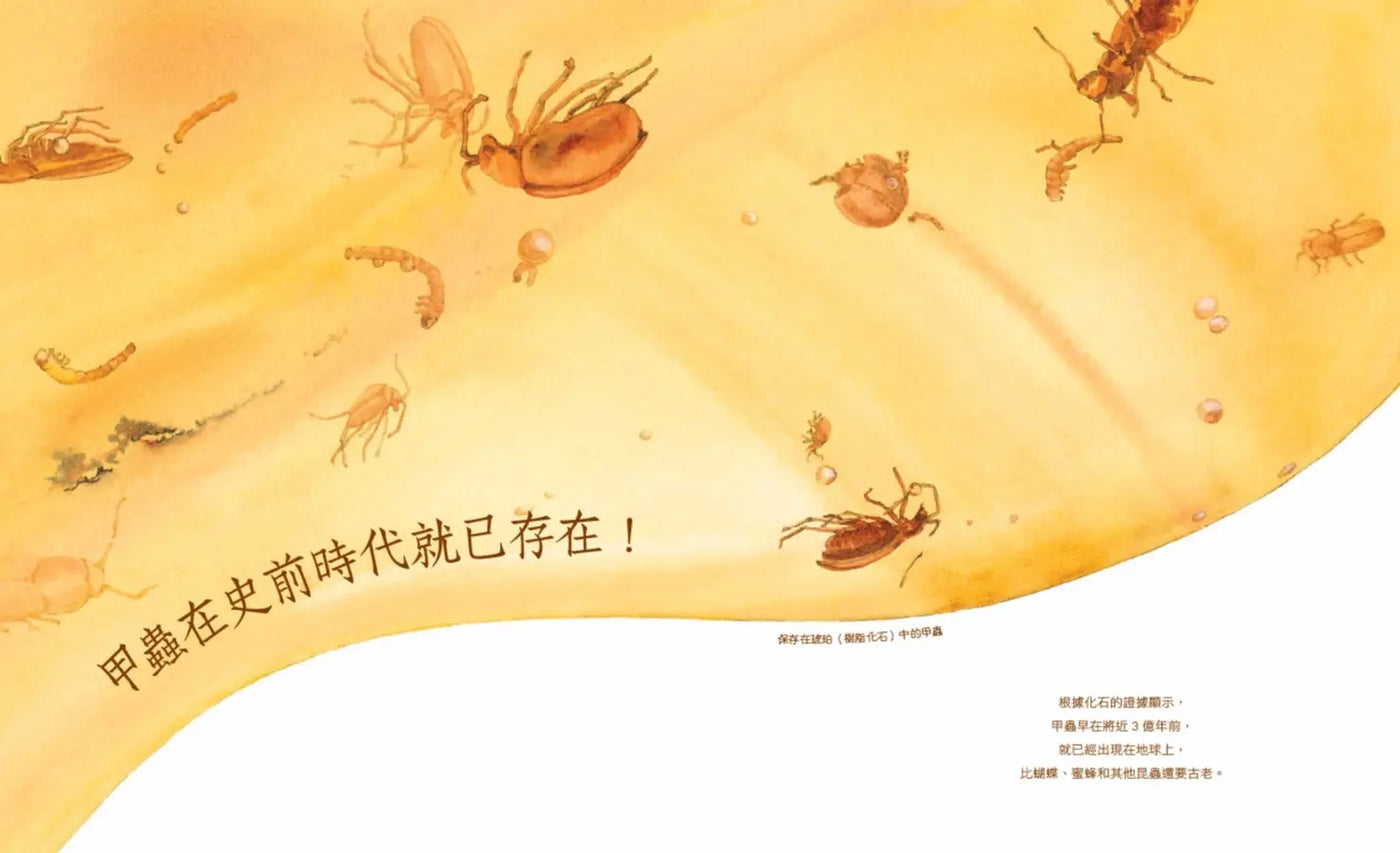 Inside Page 5
