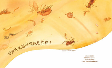 Inside Page 5