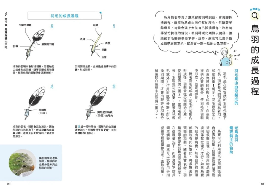 鳥醫生的養鳥小百科： 25種常見家鳥，從鸚鵡、文鳥到雀科，與啾星人交心的飼養訣竅 平裝書 Paperback