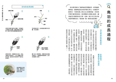 鳥醫生的養鳥小百科： 25種常見家鳥，從鸚鵡、文鳥到雀科，與啾星人交心的飼養訣竅 平裝書 Paperback