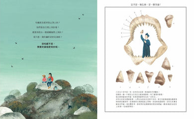 咦，山頂有牡蠣化石 精裝書 Hardback