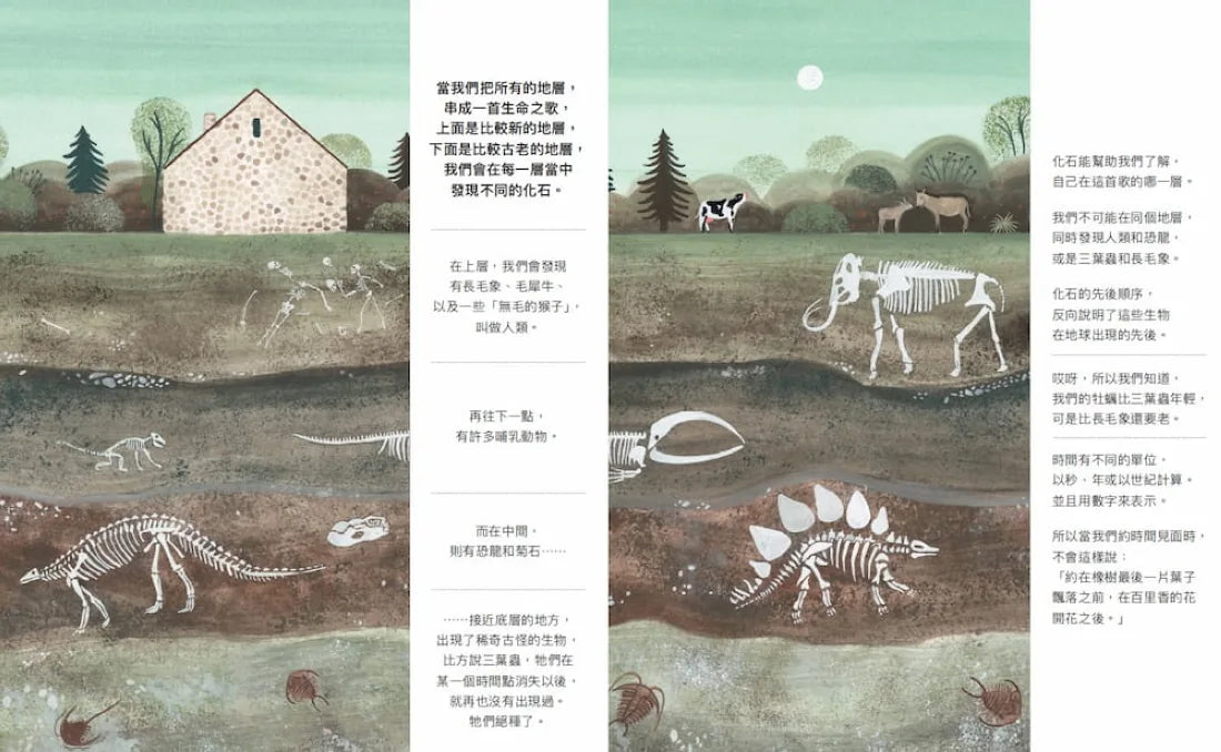 咦，山頂有牡蠣化石 精裝書 Hardback