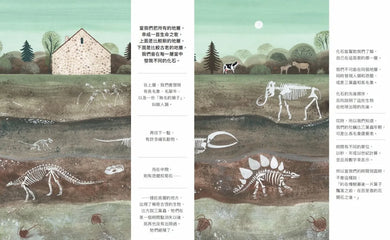 咦，山頂有牡蠣化石 精裝書 Hardback