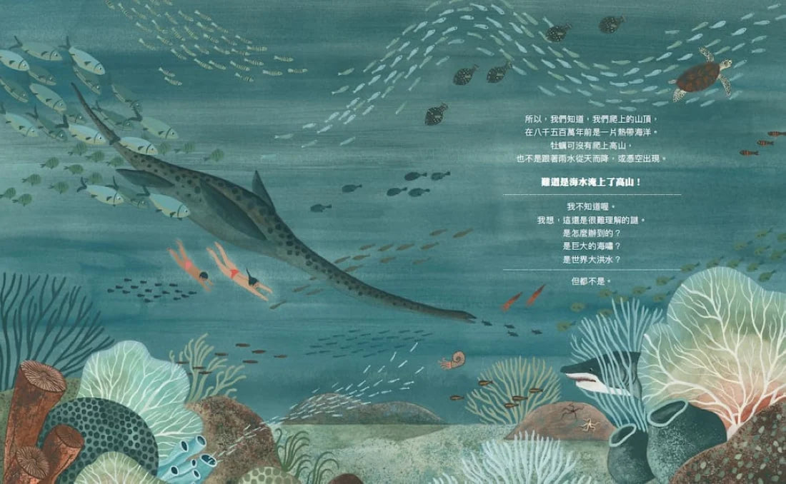 咦，山頂有牡蠣化石 精裝書 Hardback