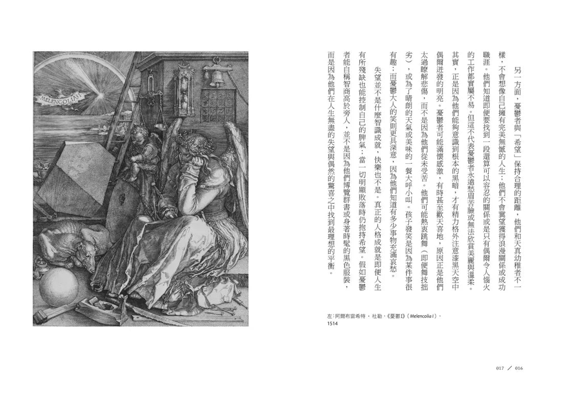 憂鬱的種類：關於陰暗情緒的希望指南 平裝書 Paperback