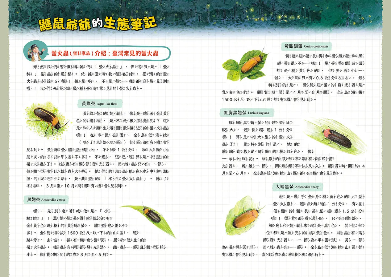 Inside Page 4