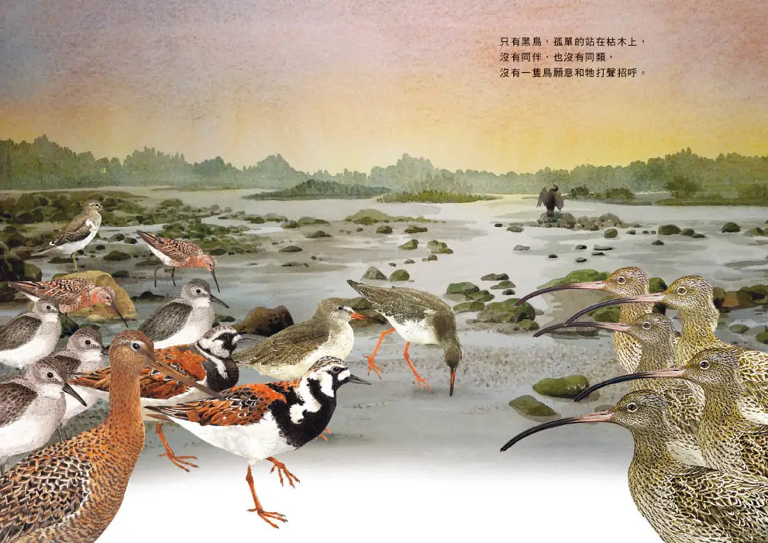 劉伯樂生態系列繪本套書（共三冊）：《哈囉！你好！濕地裡的野鳥新樂園》、《天上飛來的魚》、《捉鎖管》 精裝書 Hardback