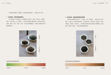 萃茶風味：全方位拆解沖泡變因，司茶師從熱萃冷萃、品飲邏輯與餐搭帶你感受茶香變化！ 平裝書 Paperback