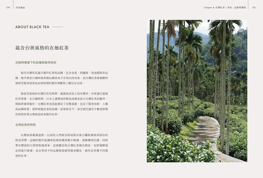 萃茶風味：全方位拆解沖泡變因，司茶師從熱萃冷萃、品飲邏輯與餐搭帶你感受茶香變化！ 平裝書 Paperback