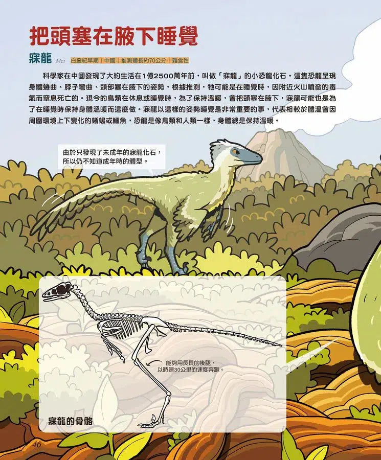 驚奇的恐龍世界 #03 噓！恐龍的祕密 (朴晉永)-非故事: 參考百科 Reference & Encyclopedia-買書書 BuyBookBook