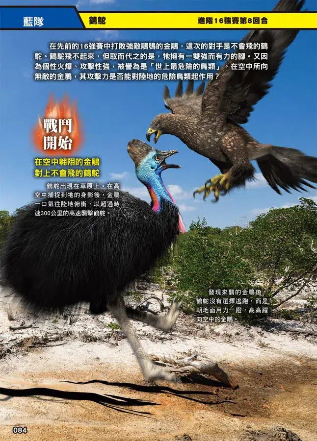 最強戰鬥 #01 超危險生物大戰圖鑑 (今泉忠明)-非故事: 動物植物 Animal & Plant-買書書 BuyBookBook