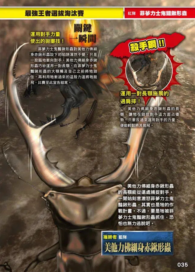 最強戰鬥 #02 鍬形蟲大王X獨角仙大王 超級大戰圖鑑 (小野展嗣)-非故事: 動物植物 Animal & Plant-買書書 BuyBookBook