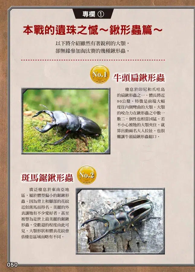 最強戰鬥 #02 鍬形蟲大王X獨角仙大王 超級大戰圖鑑 (小野展嗣)-非故事: 動物植物 Animal & Plant-買書書 BuyBookBook
