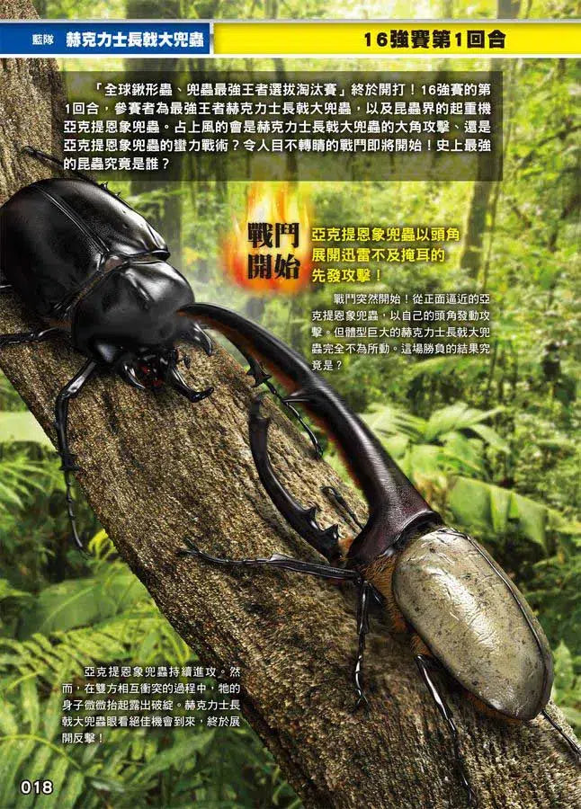 最強戰鬥 #02 鍬形蟲大王X獨角仙大王 超級大戰圖鑑 (小野展嗣)-非故事: 動物植物 Animal & Plant-買書書 BuyBookBook