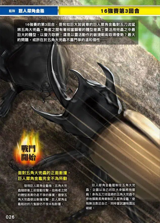 最強戰鬥 #02 鍬形蟲大王X獨角仙大王 超級大戰圖鑑 (小野展嗣)-非故事: 動物植物 Animal & Plant-買書書 BuyBookBook