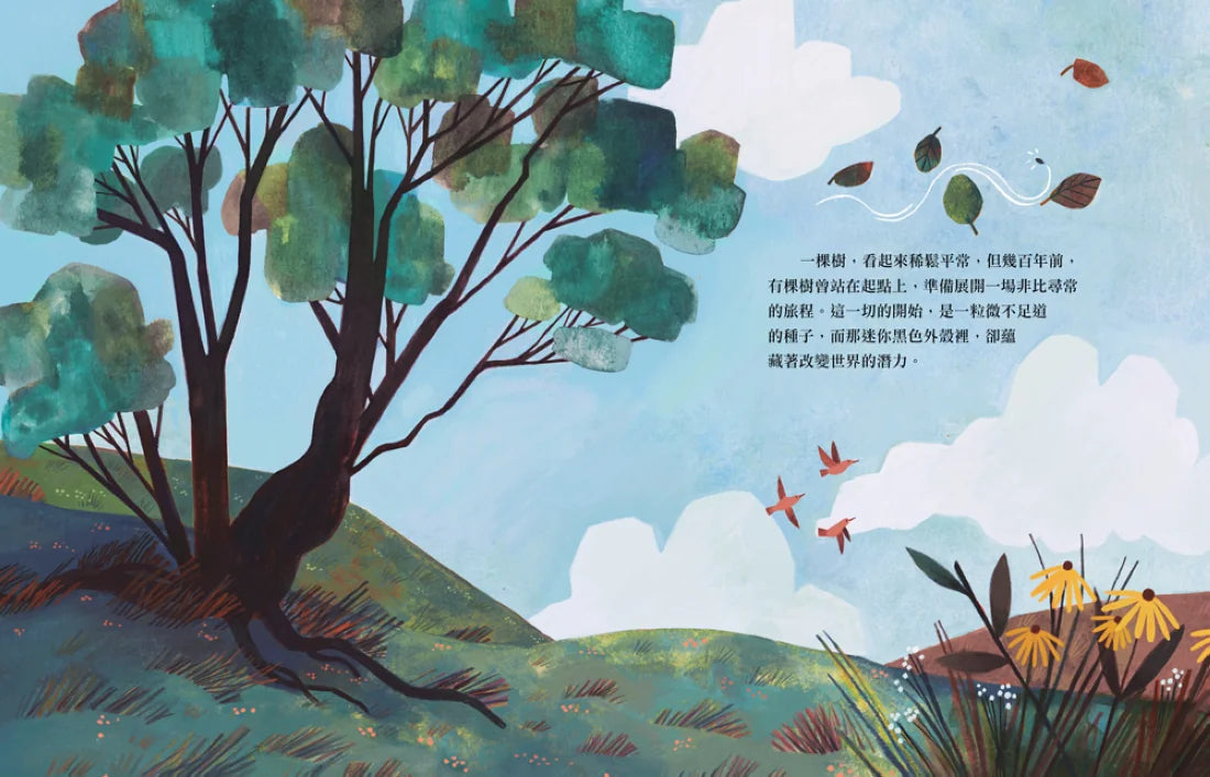 重力樹：一棵蘋果樹啟發全世界的故事（艾美獎獲獎記者寫給孩子的科普繪本） 精裝書 Hardback