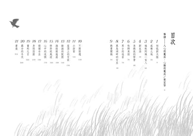 黑鳥湖畔的女巫 ★紐伯瑞文學獎金牌獎-故事: 經典傳統 Classic & Traditional-買書書 BuyBookBook