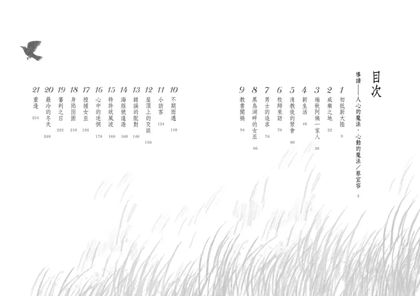 黑鳥湖畔的女巫 ★紐伯瑞文學獎金牌獎-故事: 經典傳統 Classic & Traditional-買書書 BuyBookBook